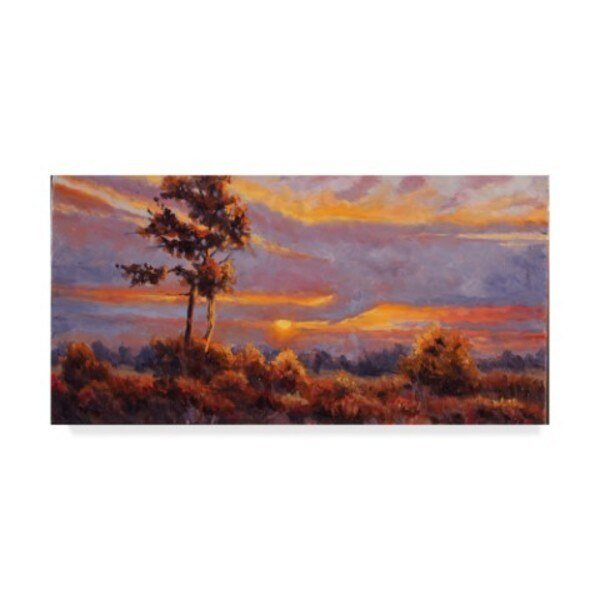 Wanda Mumm 'African Sunset' Canvas Art, 10x19, Trademark Fine Art, Mfr#: ALI43467-C1019GG